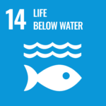 CVA aligns Corporate Partnerships with SDG 14