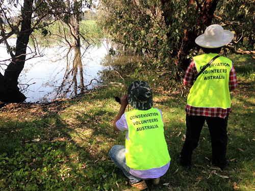 Volunteers by the Swan River