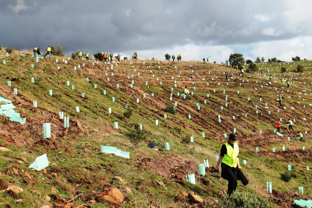 CVA Corporate Challenge Series - Tree Planting