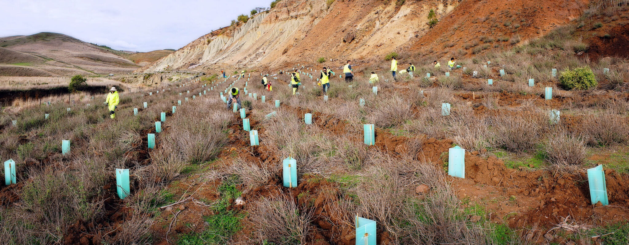 Another million actions for nature by 2030