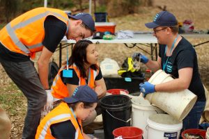 Citizen Scientists at work