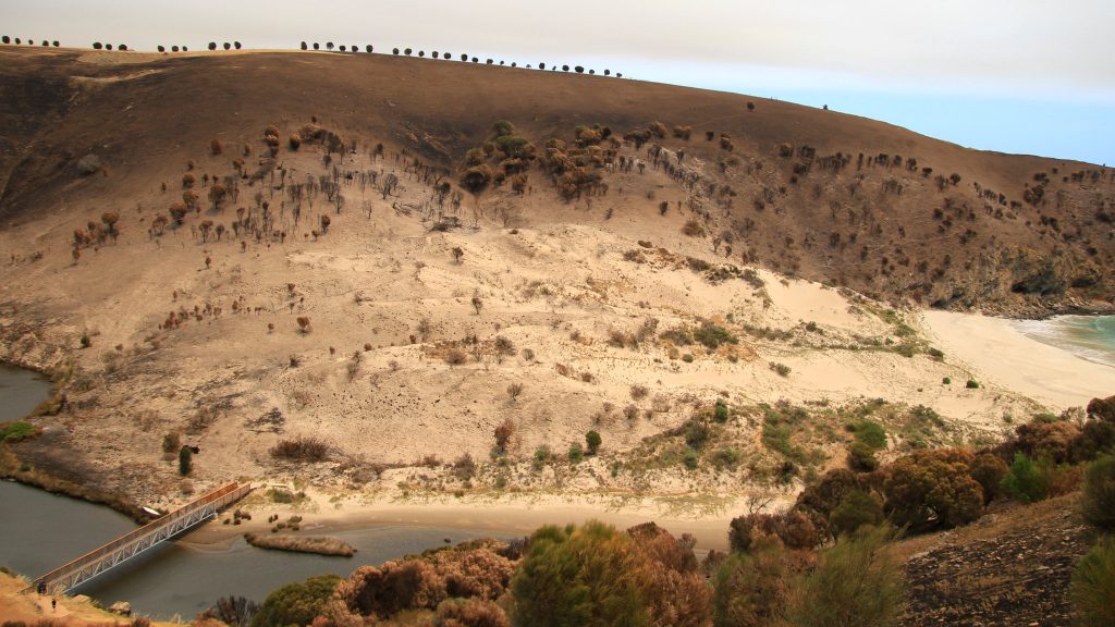 Kangaroo Island after Black Summer Fires - Image by Stephen Mitchell