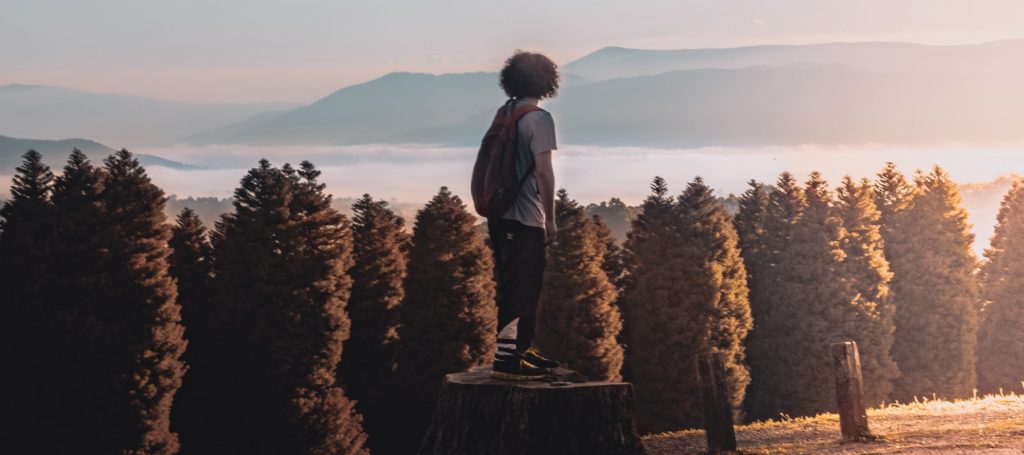 Man looks out over forest