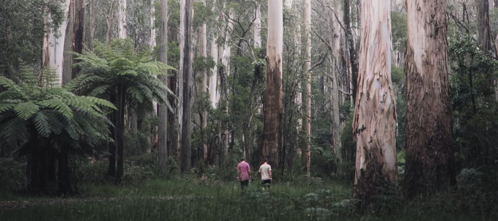 Men in Dandenong Ranges Forest