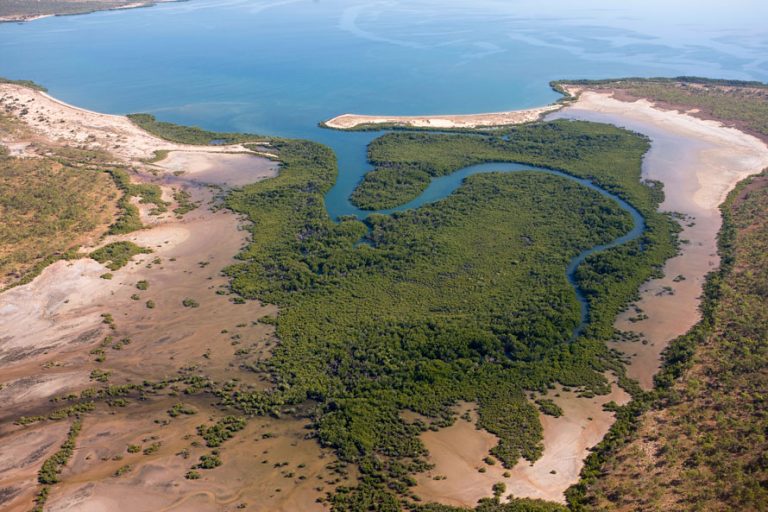 CVA Finds Nature Based Solutions to Climate