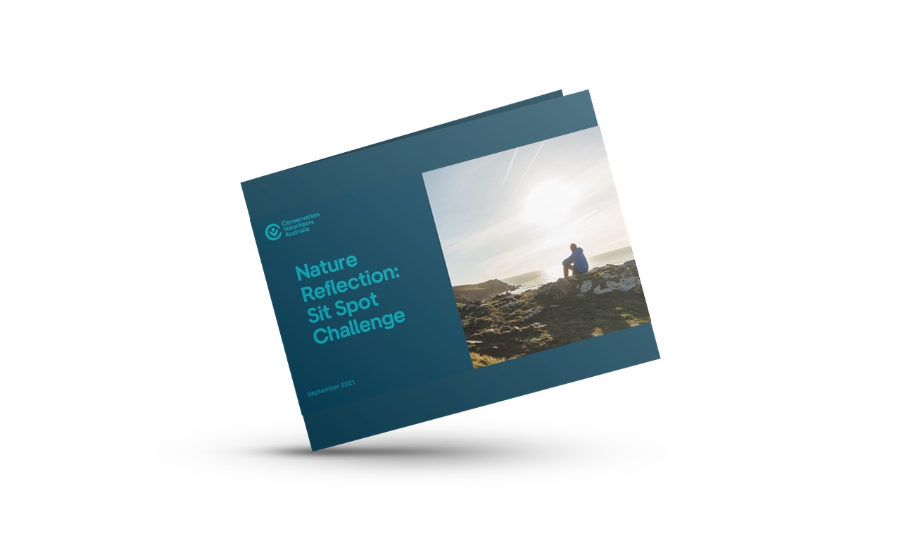 Nature Reflection: Sit Spot Challenge Guide