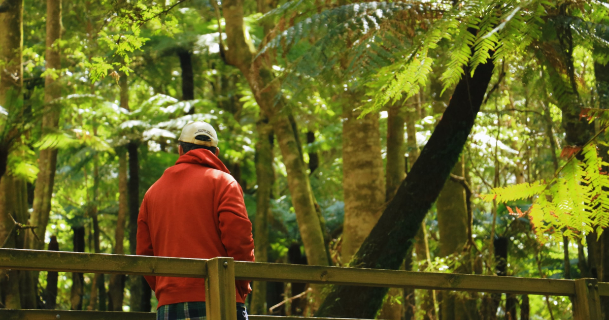 Nature and Human Wellbeing - Nature Immersion