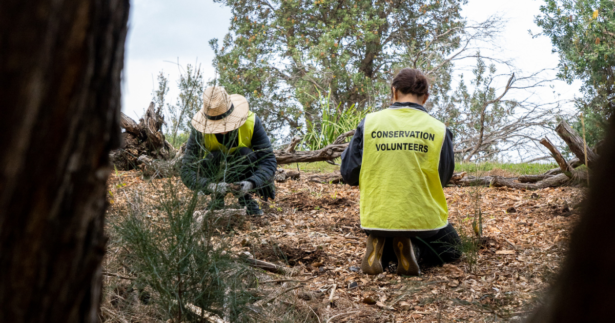 Nature and Human Wellbeing - Stewardship in Action