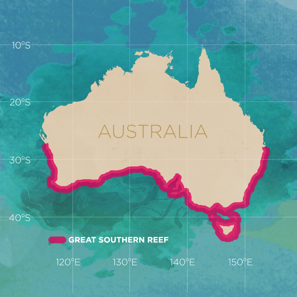 The Great Southern Reef
