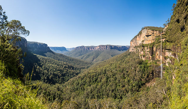 Grose Valley Blue Mountains NSW - Bushfire Recovery