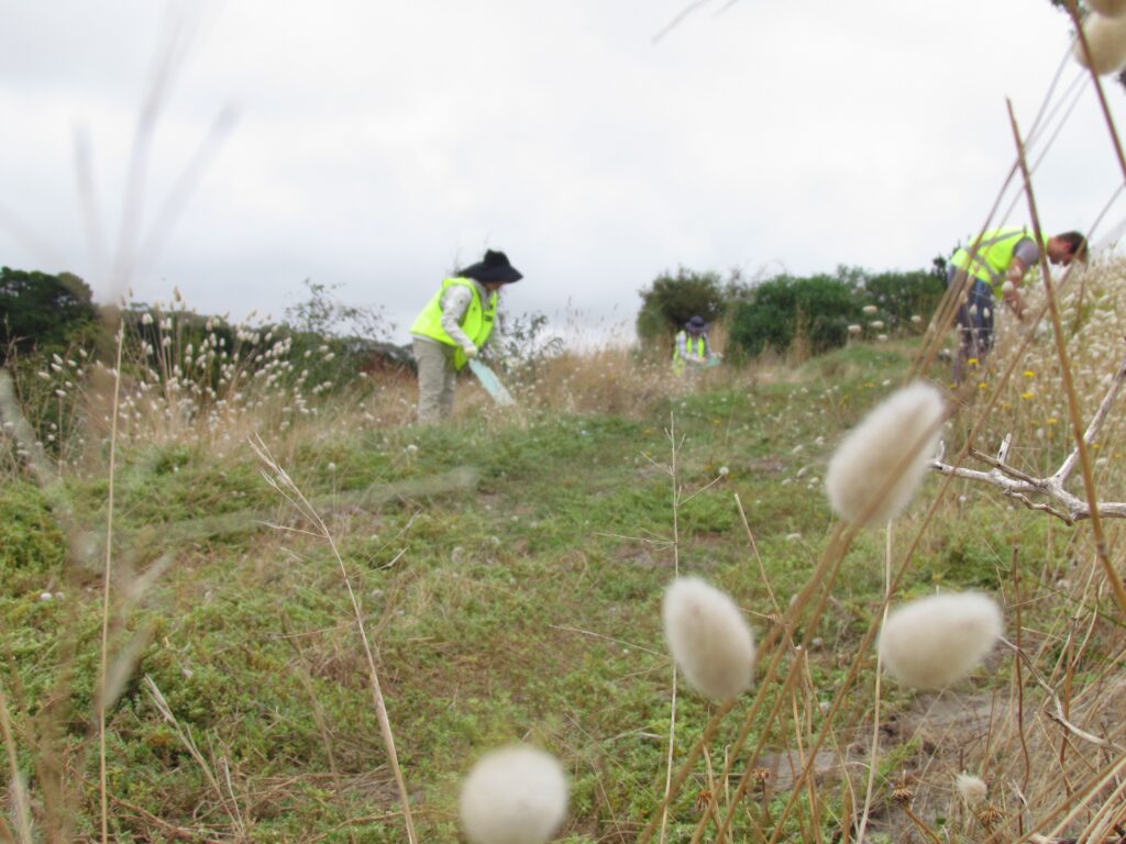 Regenerative Agriculture