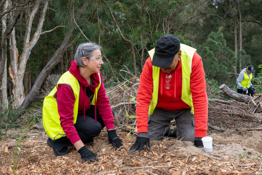 Native Habitat Restoration