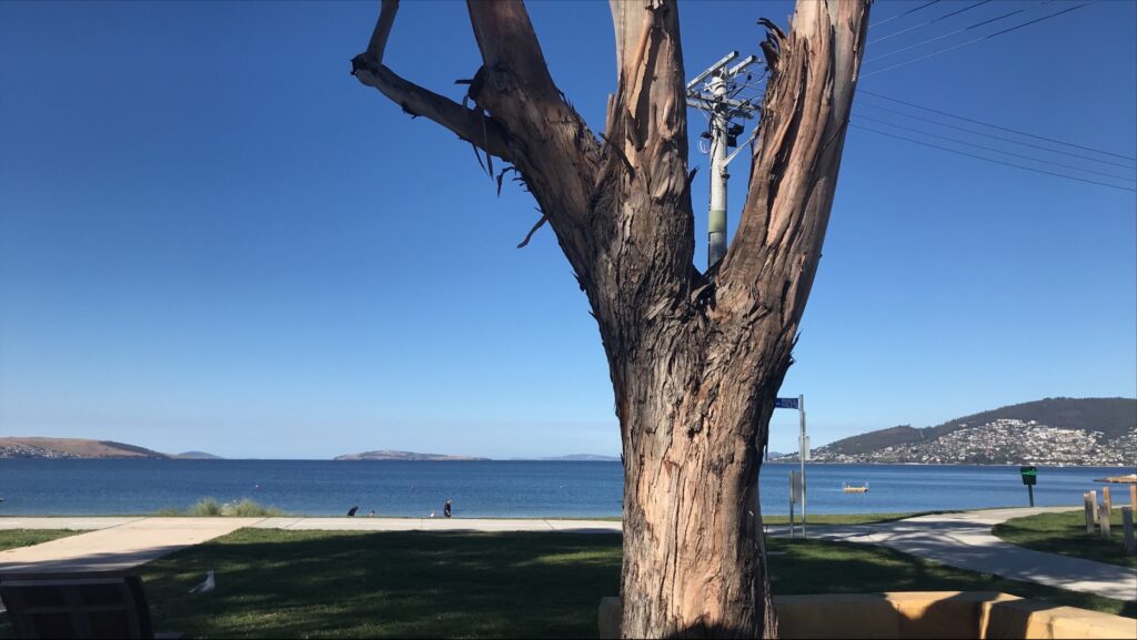 Conservation Volunteers Australia's National Day of Action 2022