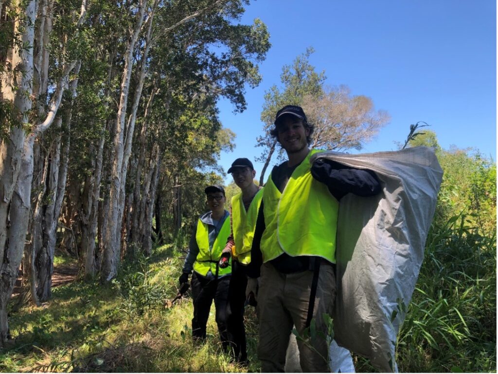 Native Habitat Restoration