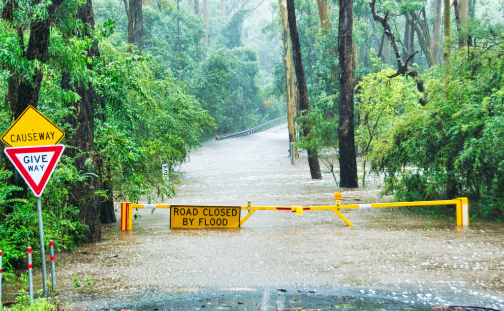 Help with flood recovery