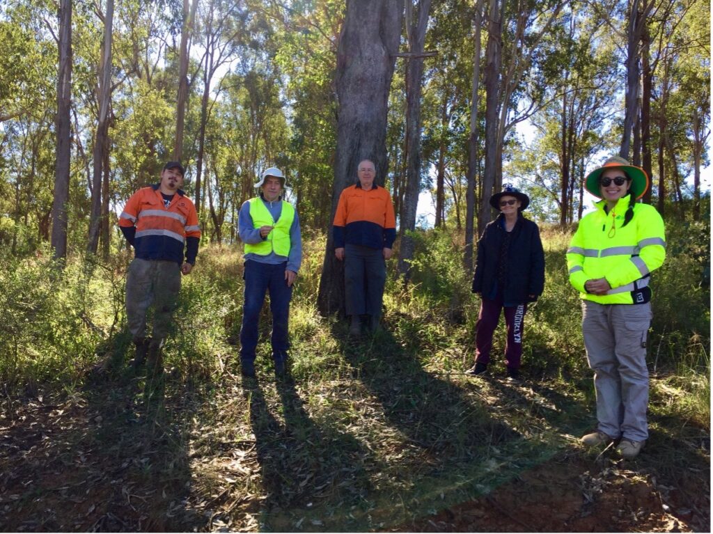 Bushland Restoration with Conservation Volunteers Australia