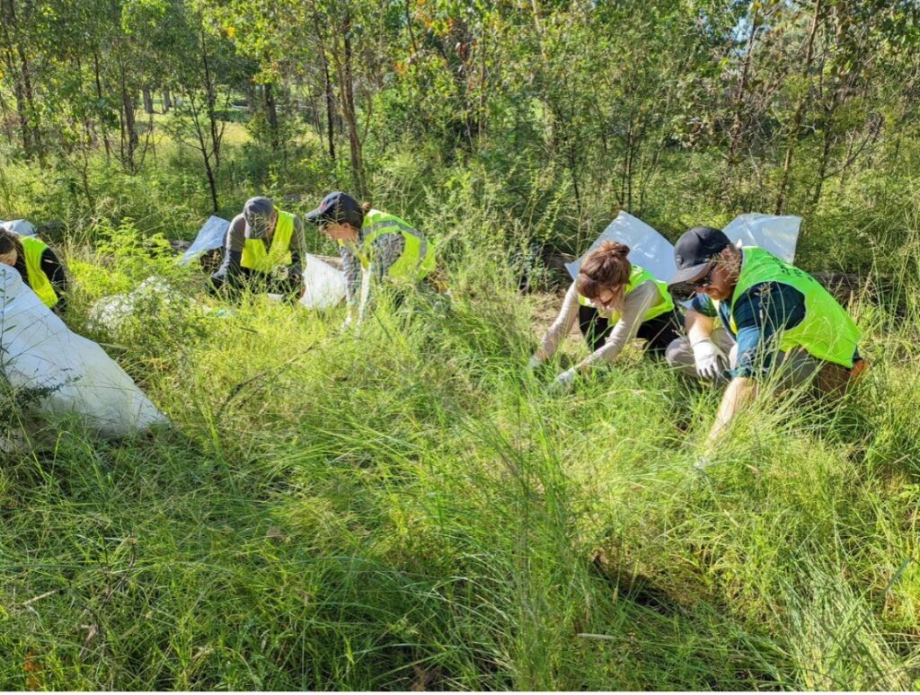 Bushland Restoration with Conservation Volunteers Australia