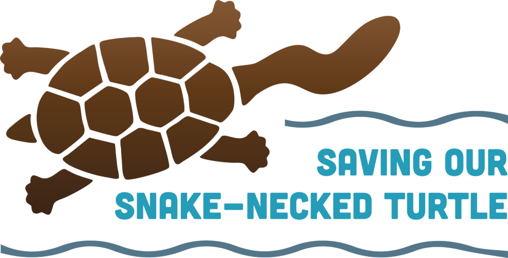 save our snake necked turtle