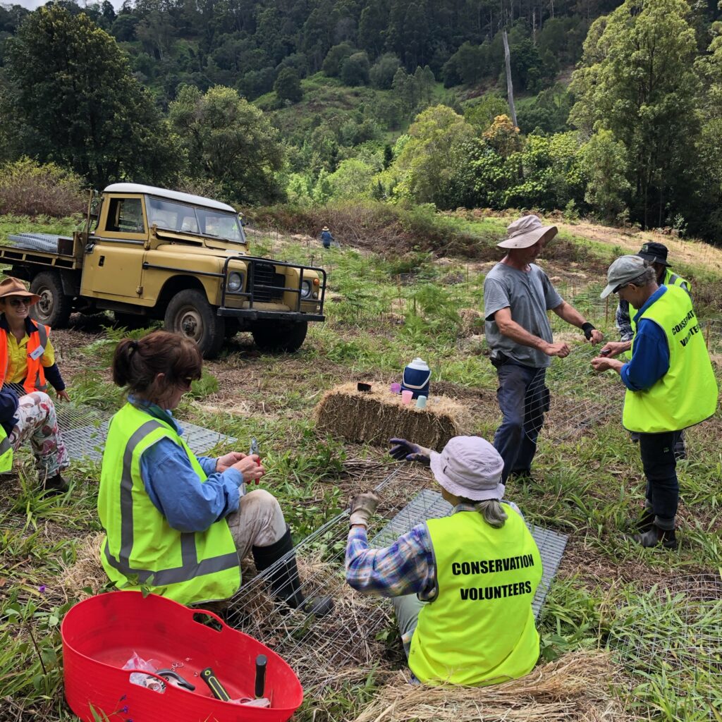 bushfire recovery