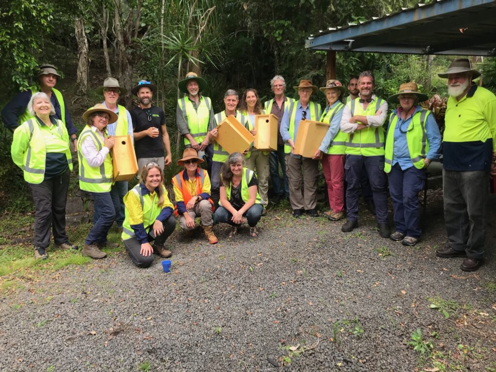 bushfire recovery