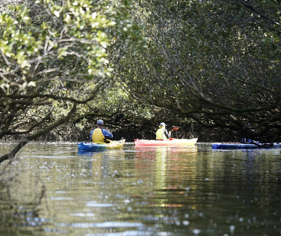 People kayaking down in wetlands.
