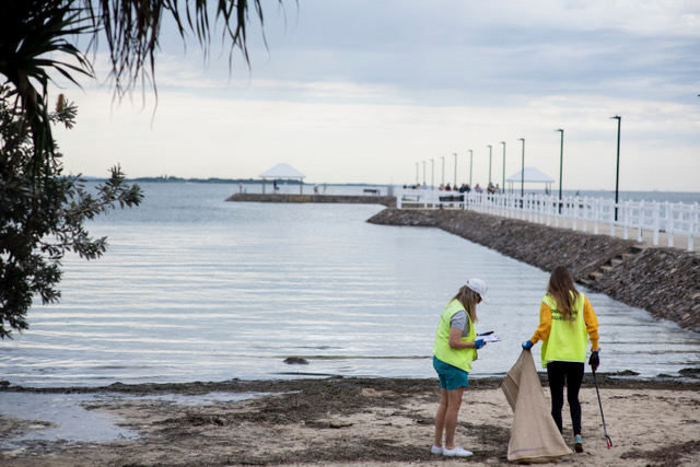 LitterBlitz image 2