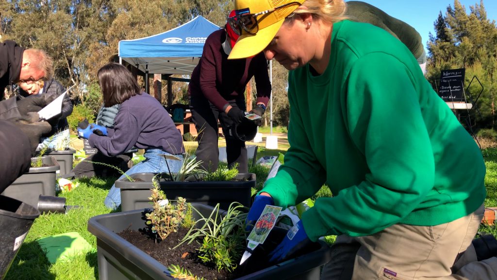 Build a Nature Block, help restore native habitat and feel better, too