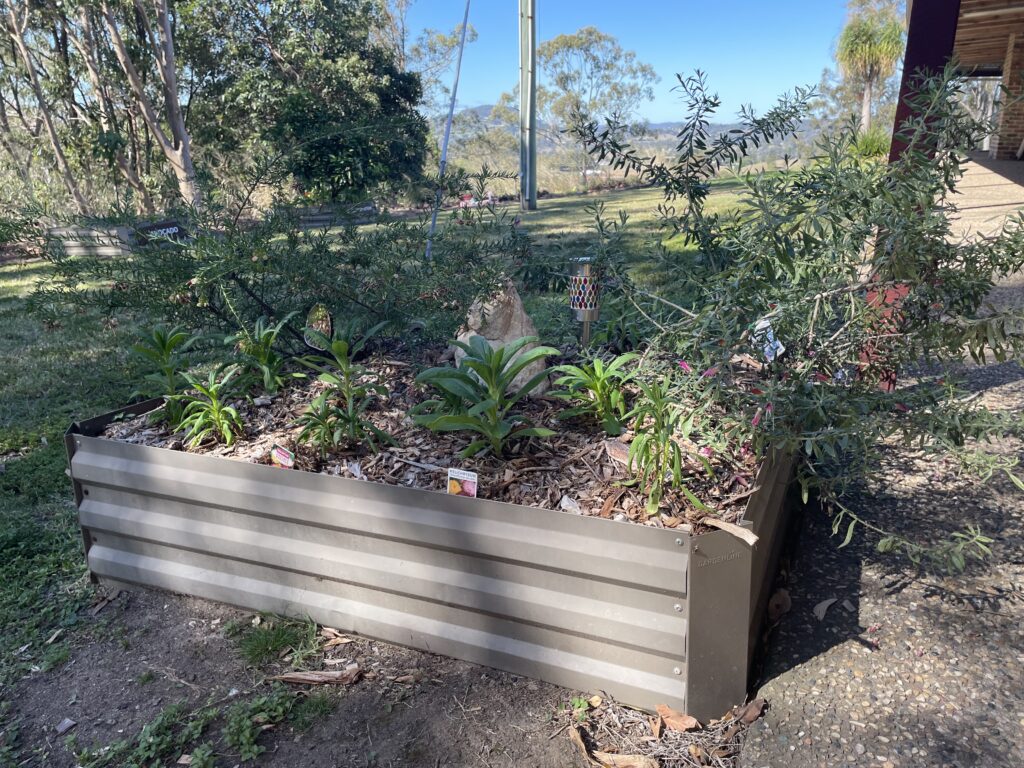 a small patch filled with species-attracting natives is all it takes