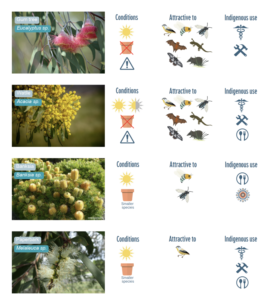 Native Australian plants for your Nature Block - Conservation Volunteers  Australia