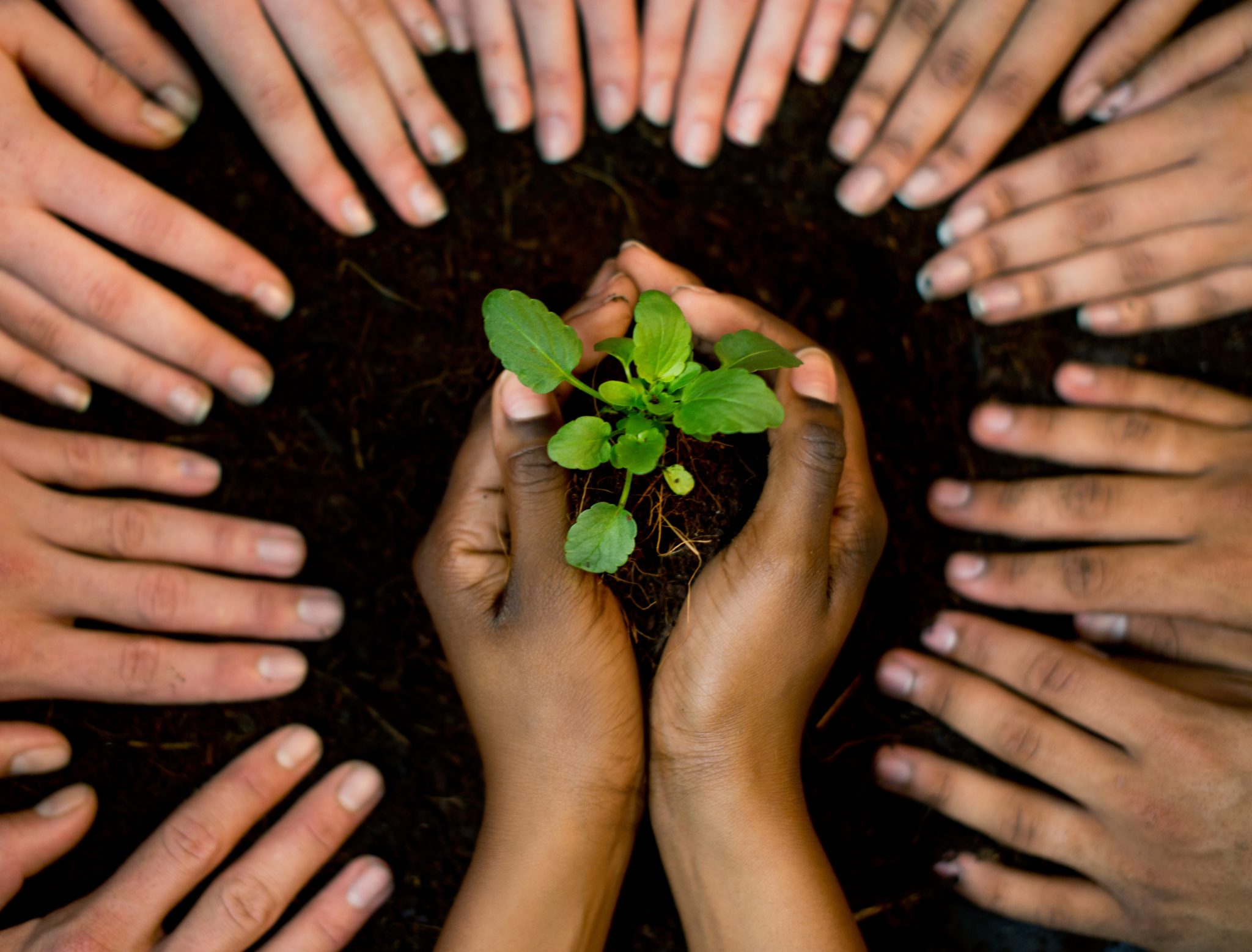 CVA Joins Shared Value Community - Conservation Volunteers Australia