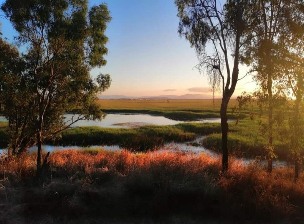 competition-photography-nature-win-prizes