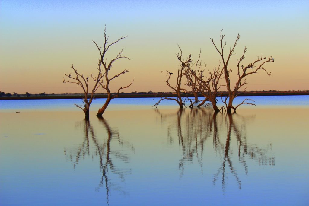 nature photography competition