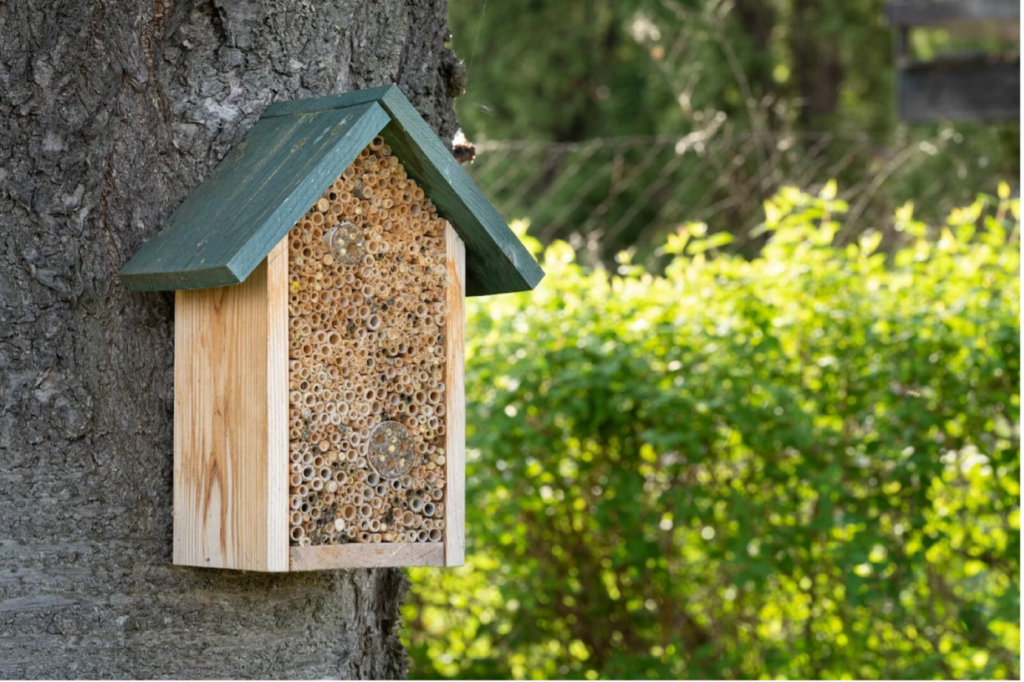 A insect hotel on a tree.