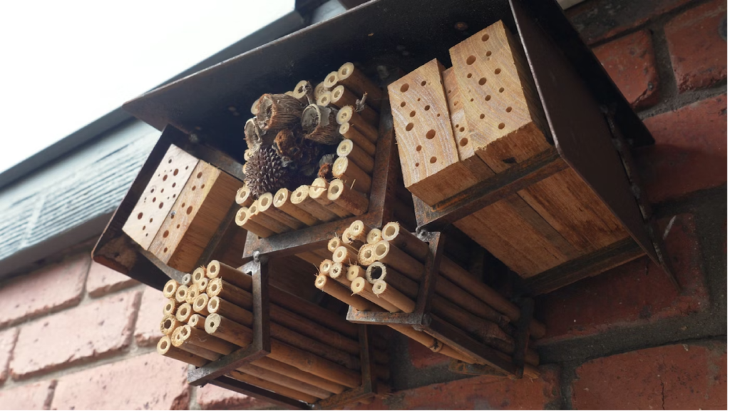 A insect hotel on a house.