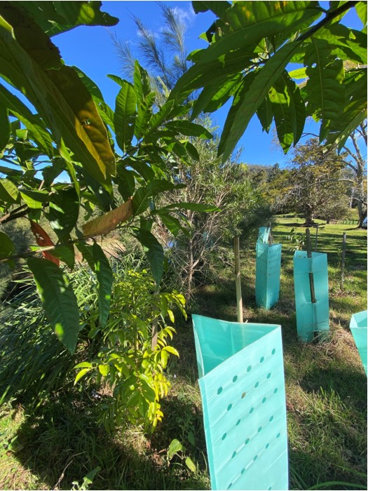 biodiversity and habitat restoration