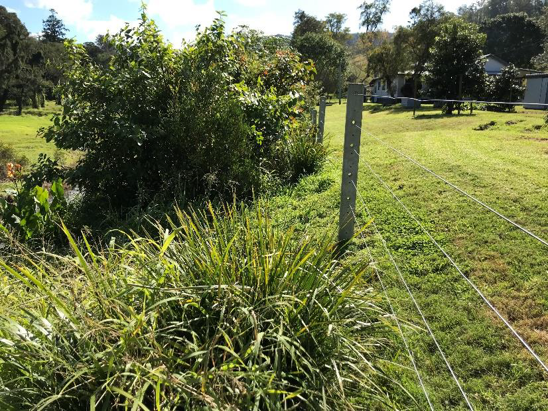 biodiversity and habitat restoration