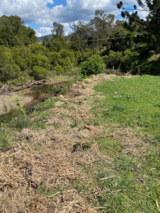 biodiversity and habitat restoration