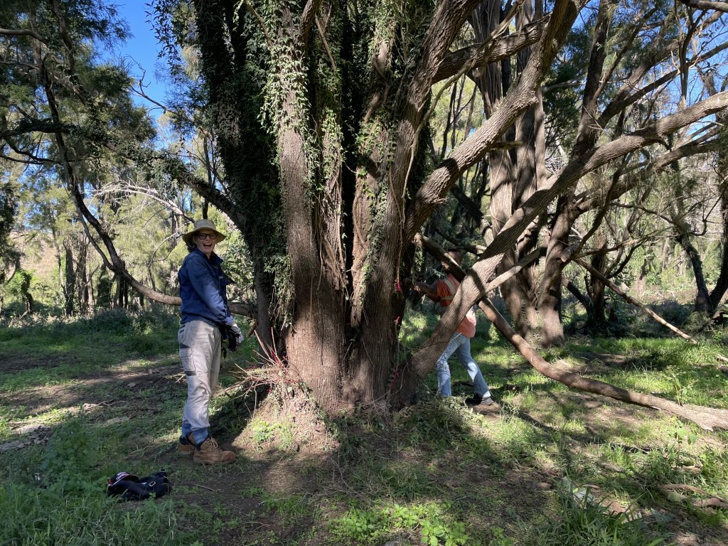 biodiversity and habitat restoration