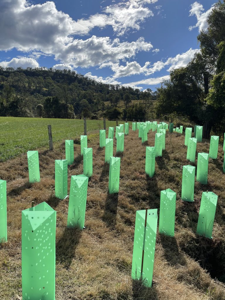 biodiversity and habitat restoration