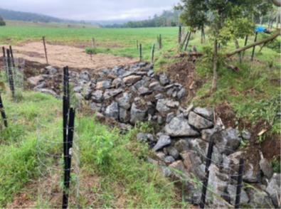 Biodiversity and Habitat Restoration