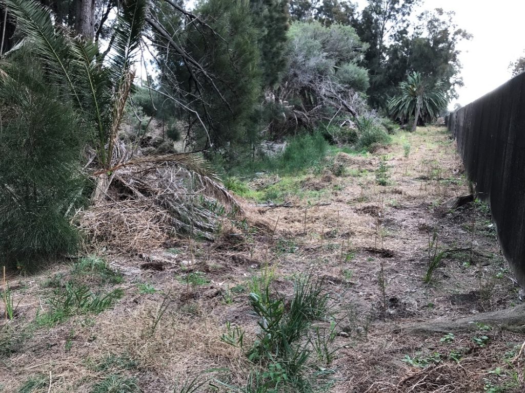 habitat restoration