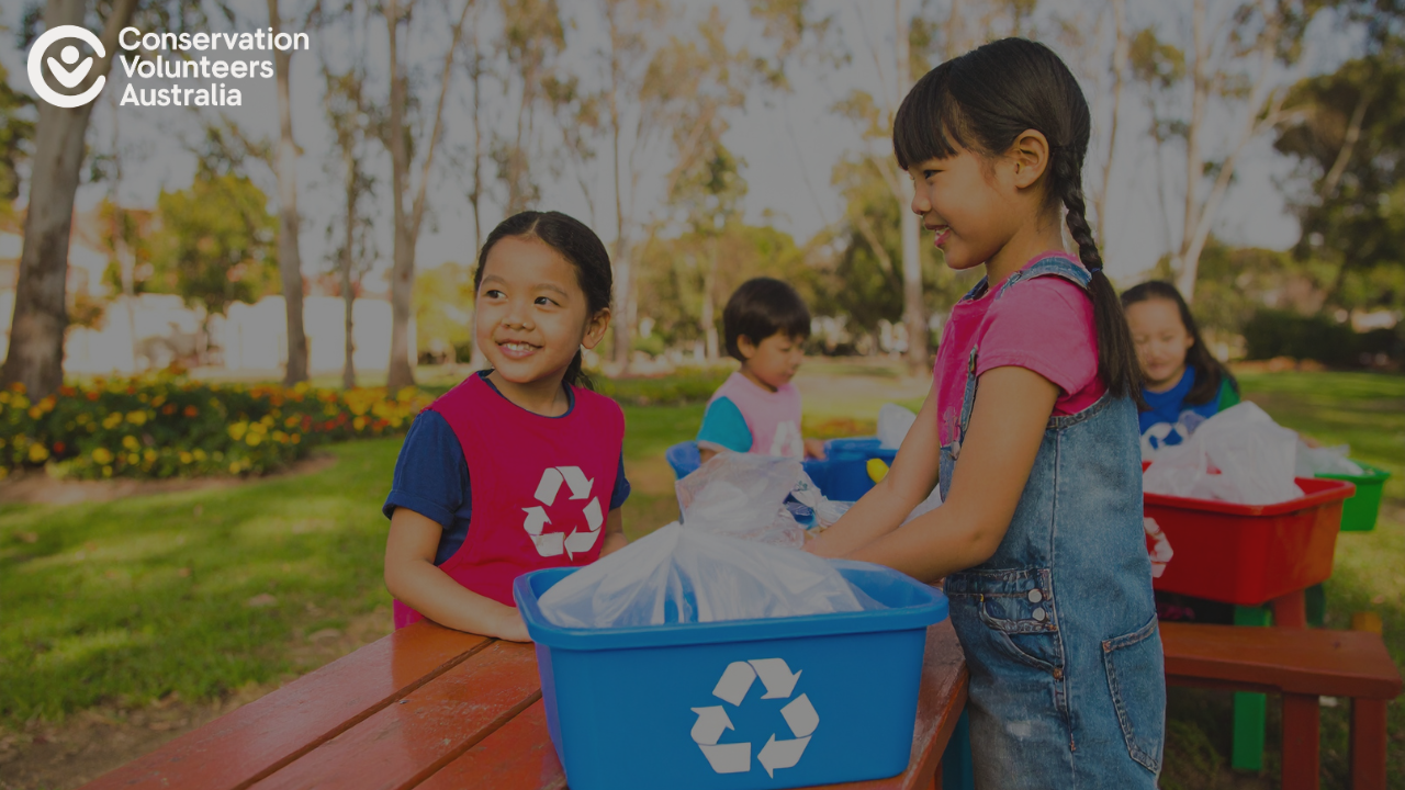 How Schools Can Get Involved in Local Conservation Projects ...